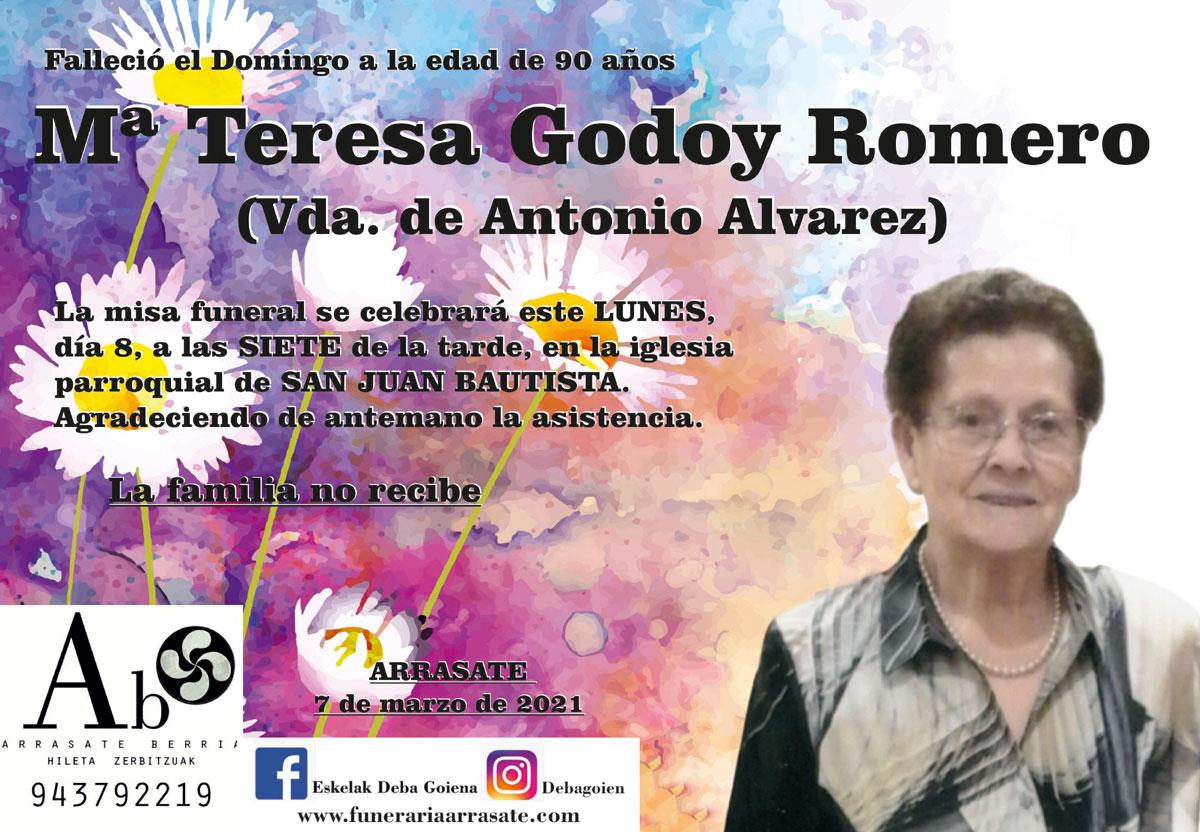Mª Teresa Godoy Romero