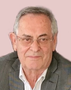 Fermin Nuin De Castro