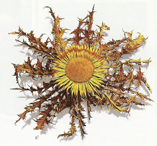 Juan Jose Armendia Zabala