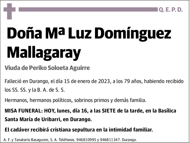 Mª Luz Dominguez Mallagaray