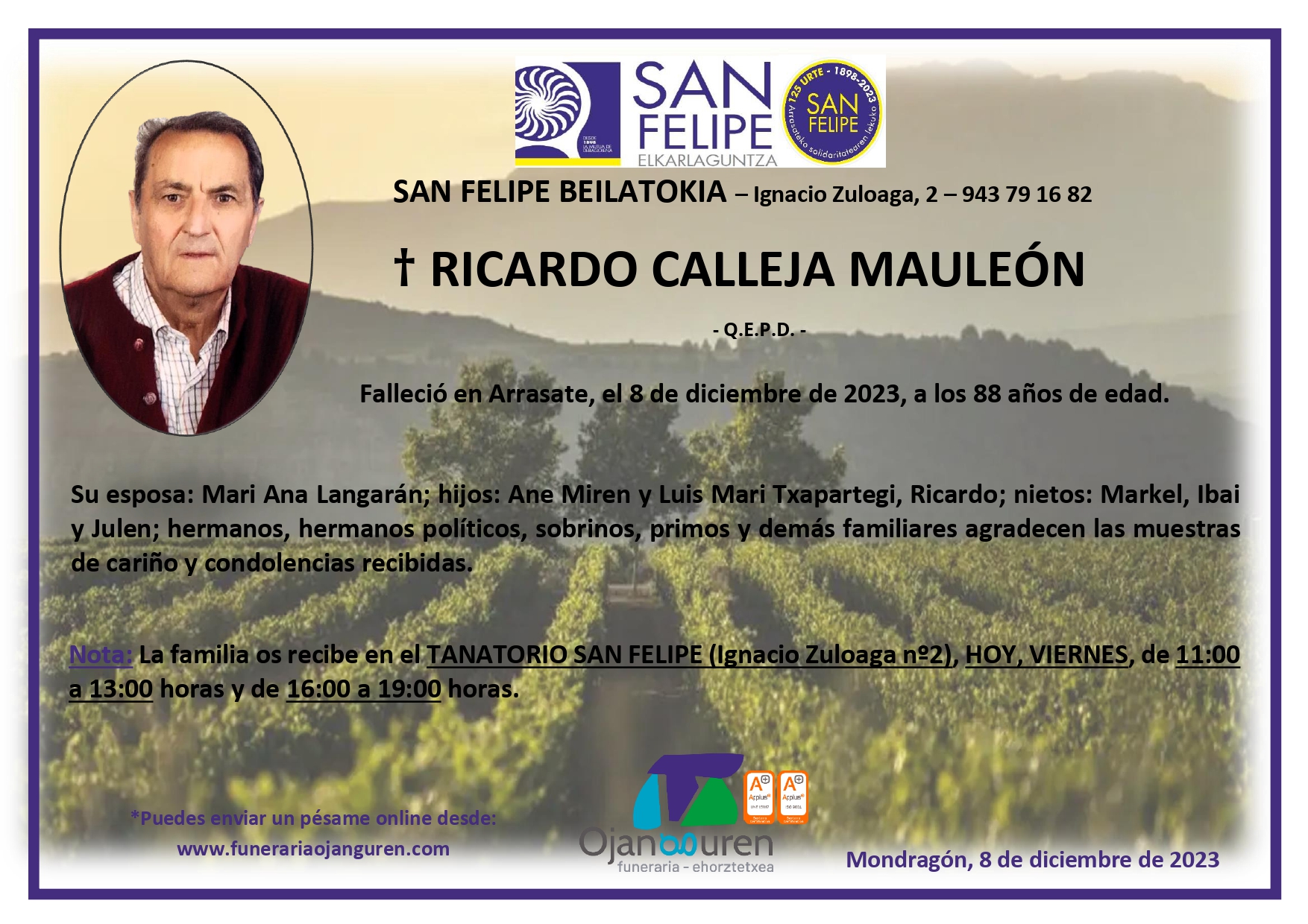 Ricardo Calleja Mauleón
