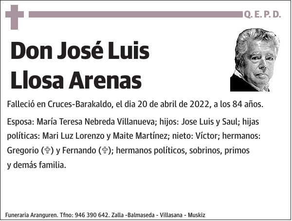 José Luis Llosa Arenas