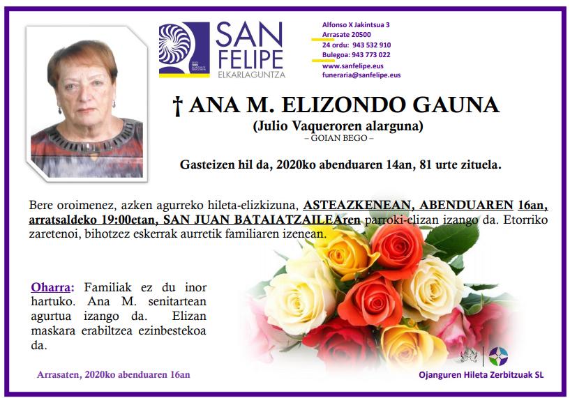 Ana M. Elizondo Gauna