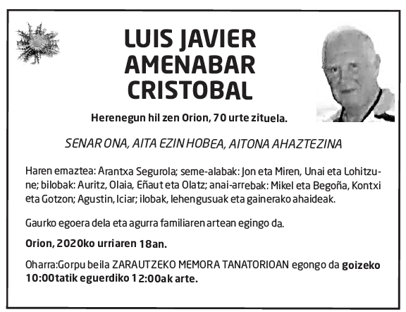 Luis Javier Amenabar Cristobal