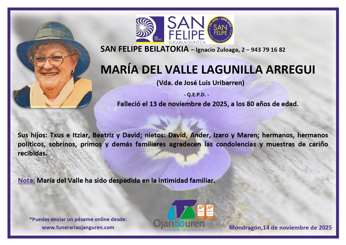 María Del Valle Lagunilla Arregui