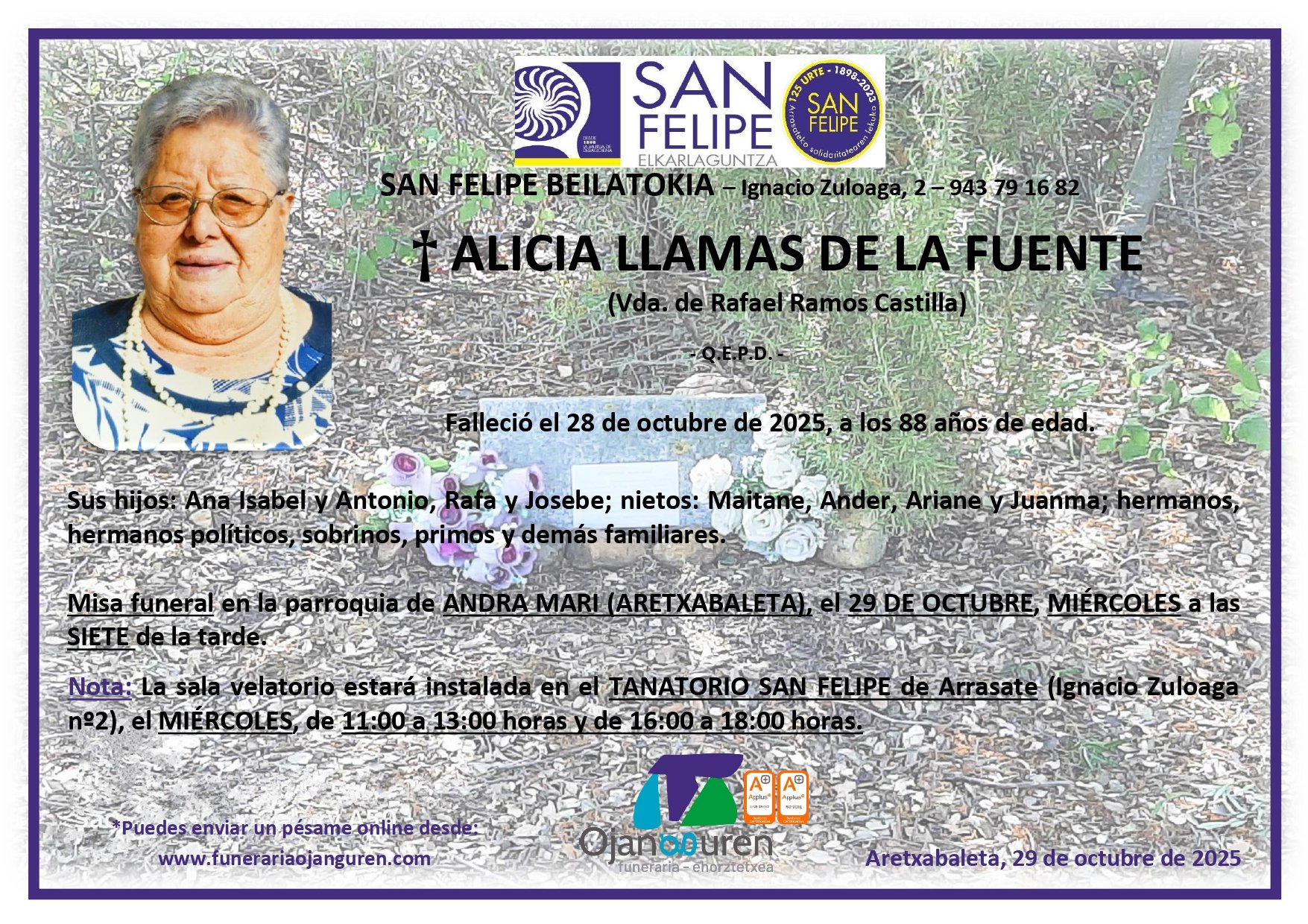 Alicia Llamas De La Fuente