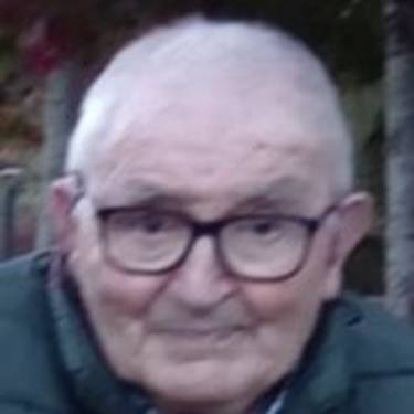 Pedro Cárcamo Calvo