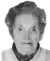 Amalia Araceli Amieva Peláez