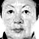 Ana Ibáñez Sampedro