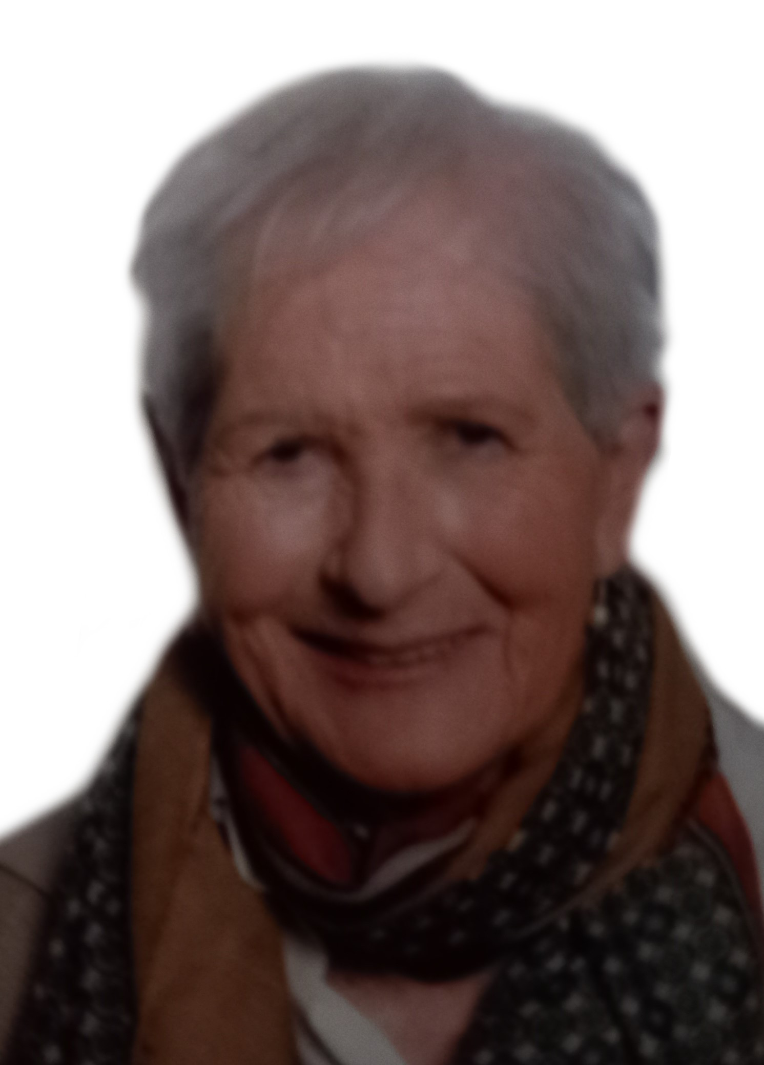 Begoña Villate Navarro