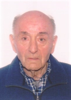 Francisco Javier Avellaned Palacios