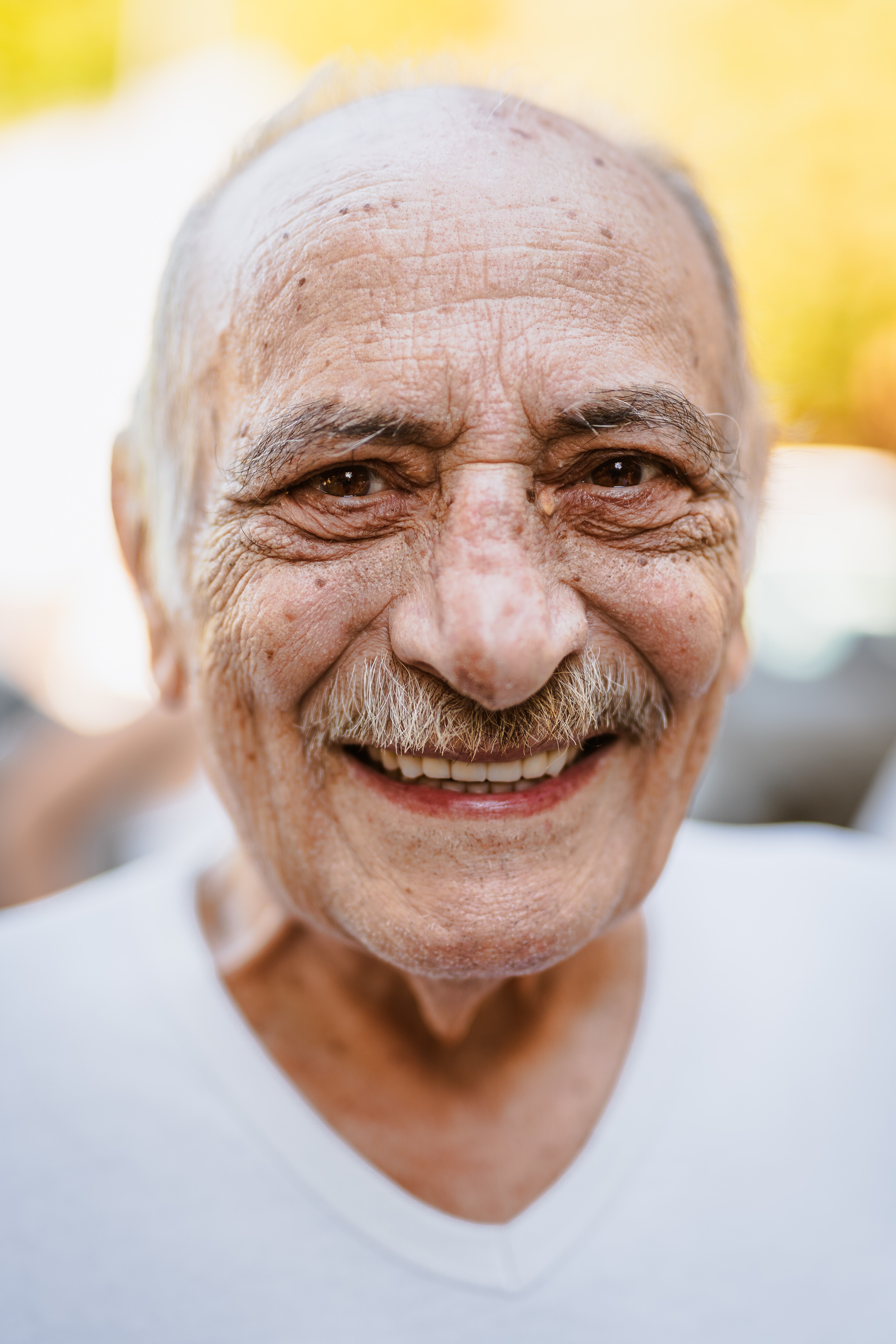 Francisco Javier Díez Azpeitia