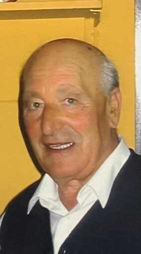 Julian Gonzalez Colias