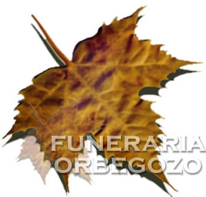 Maria Luisa Alcorta Urruzola