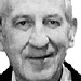 Manuel Prado Peraita