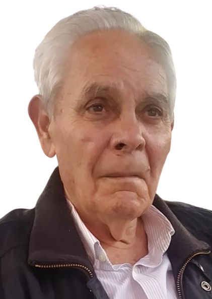 Tomas Cardeñoso Vian